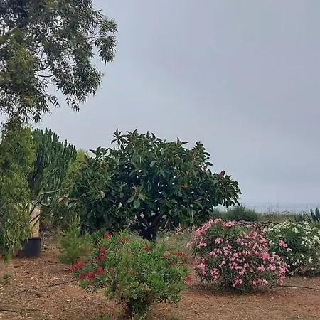 Casa Sirio *